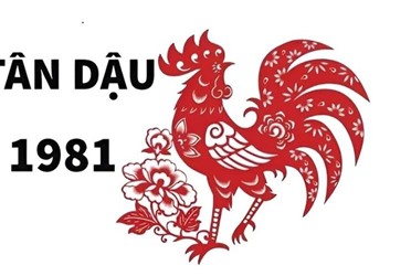 Sinh năm 1981 mệnh gì, hợp màu gì? Gợi ý phong thủy tuổi Tân Dậu